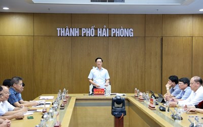 Hội nghị triển khai Quyết định của Ban Thường vụ Thành ủy về sắp xếp các hội quần chúng được Đảng, Nhà nước giao nhiệm vụ trên địa bàn thành phố