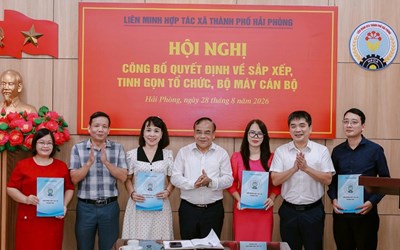 LIÊN MINH HTX THÀNH PHỐ HẢI PHÒNG TINH GỌN TỔ CHỨC BỘ MÁY, KIỆN TOÀN ĐỘI NGŨ CÁN BỘ