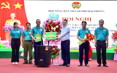 HỘI NÔNG DÂN THÀNH PHỐ HẢI PHÒNG RA MẮT, THÀNH LẬP MÔ HÌNH “CHI HỘI NÔNG DÂN KHÔNG MA TÚY” TẠI 5 CƠ SỞ HỘI